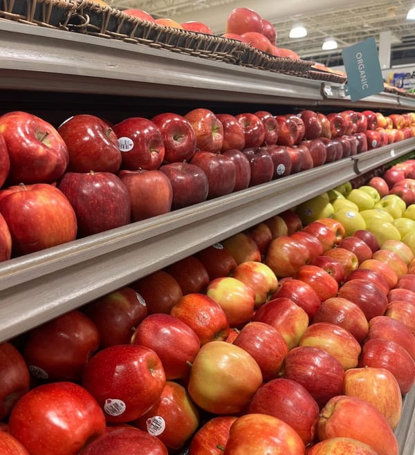 The Importance of Good Nutrition